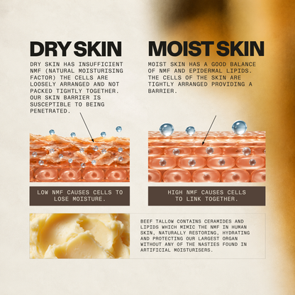 NX1 Project Face Balm