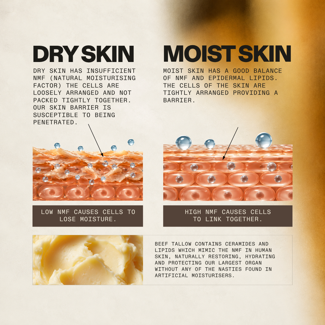 NX1 Project Body Balm (Golden Orange Scent)